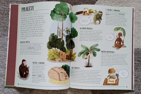 Zvieratá v ohrození - top stav,