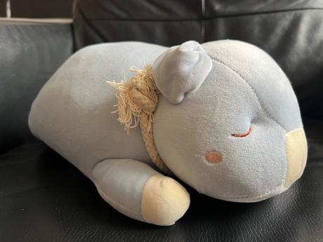 Plysove prasiatko pre stastie, 