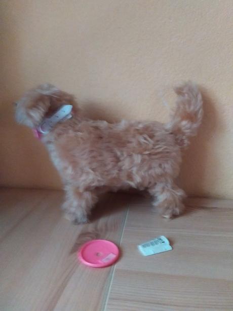 Barbie ginger the dog, 