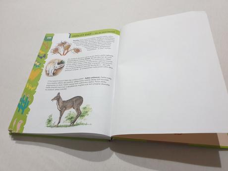 Encykopedia predskolak, 