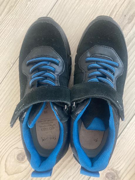 Topánky geox, geox,36