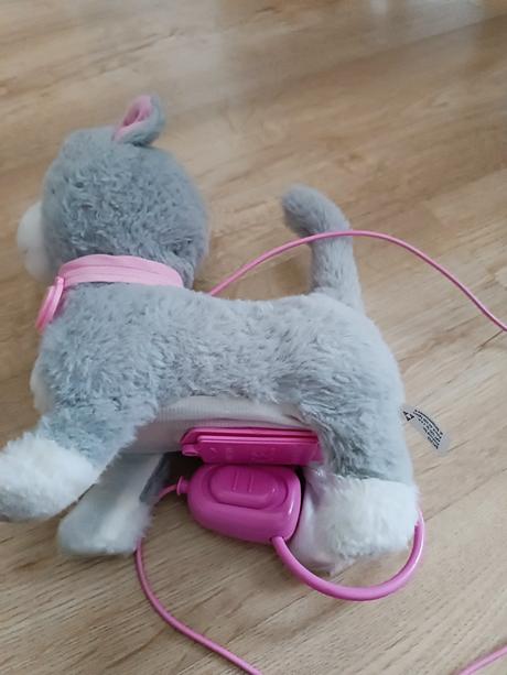 Interaktívna mačka, 