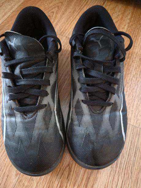 Halovky, puma,32