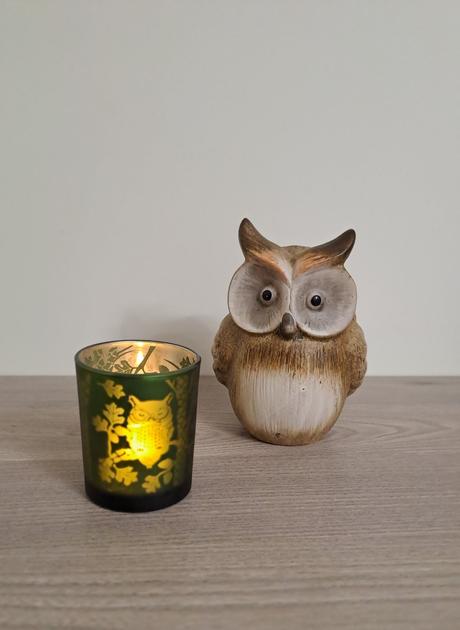 Svietnik sova, 
