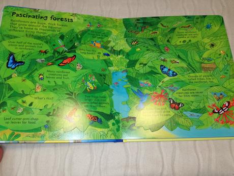 Usborne look inside the  jungle nsu19, 