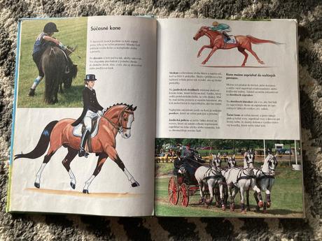 Moja prvá knižka o koňoch (2009),