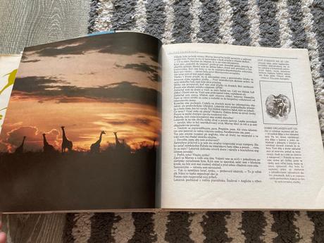 Lev nie je kráľom zvierat-prvé vyd.1981, 