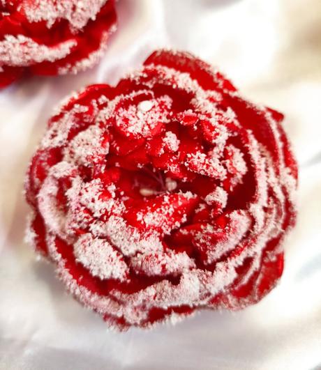 Zimná pivonka - kvet s kúzlom snehu a mrazu, 