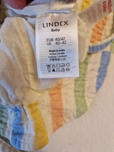 Klobúčik lindex, lindex,42