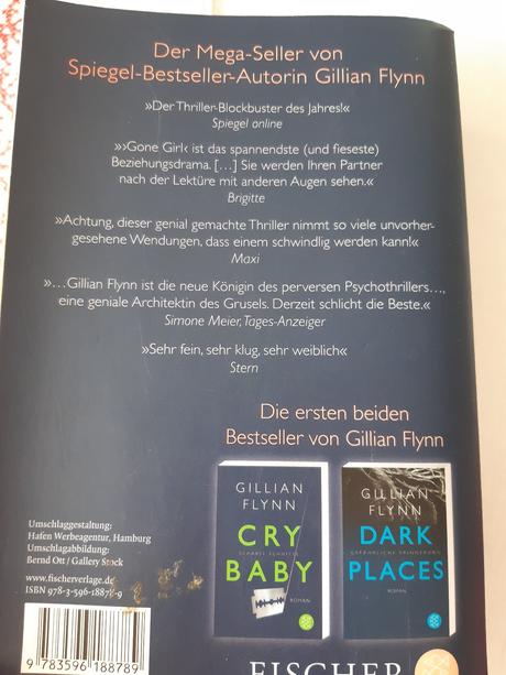 Gillian flynn gone girl v nemcine, 