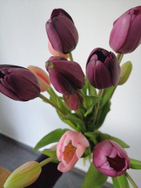 Tulipány, nie živé 5ks,