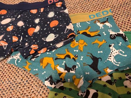 Boxerky 4 až 6 rokov dedoles, 110