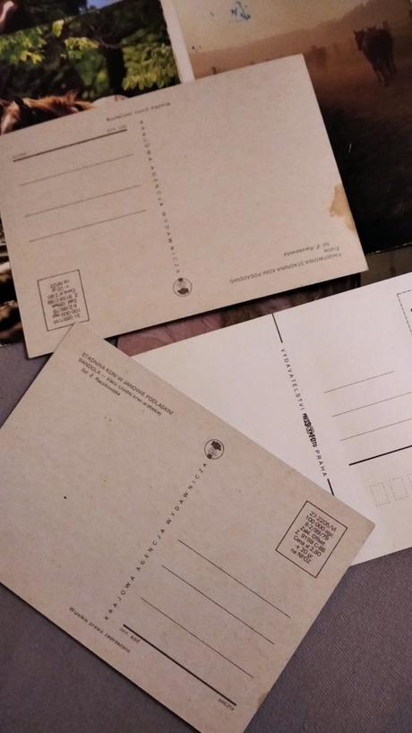 Staršia zbierka pohľadníc kone,