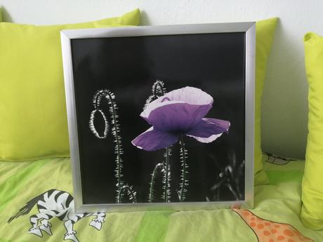 Obraz 35 cm x 35 cm, 