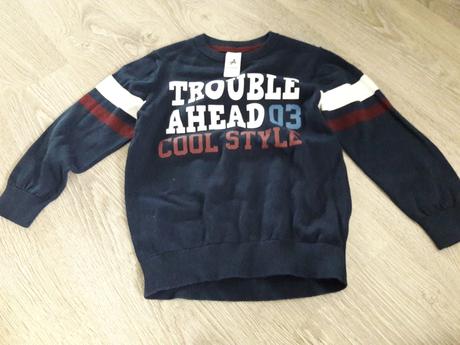 Pulóvrik nestihli sme vynosiť, palomino,110