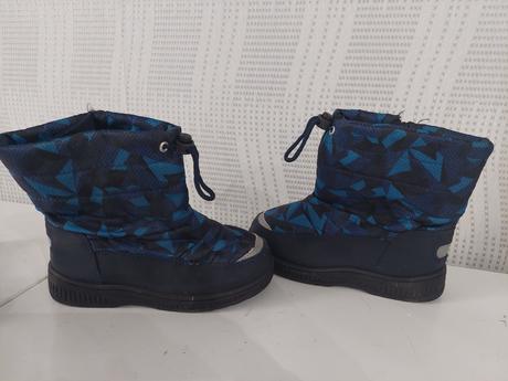 Snehule, topolino,29