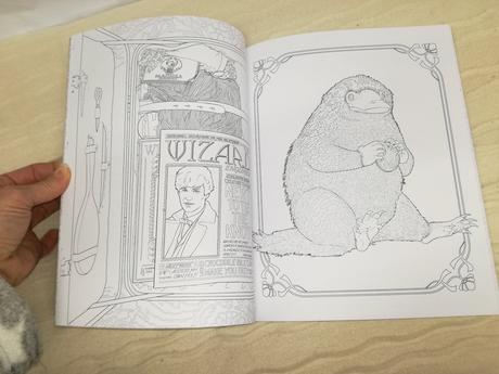 The crimes of grindelwald colouring book nsp20, 