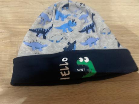 Ciapka 52 dinosaurus, 98