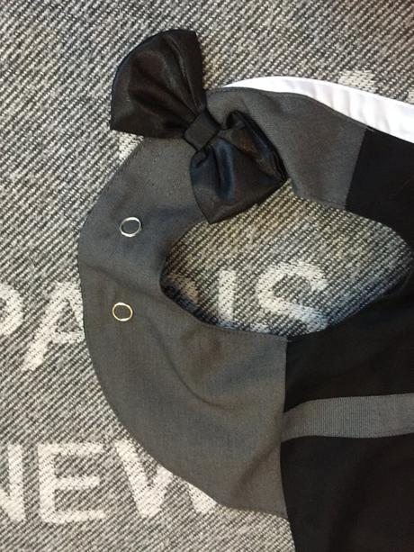 Pes, sviatocne oblecenie s motylikom m,