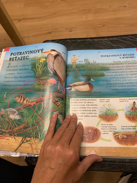 Kniha nas svet pre zvedave deti,