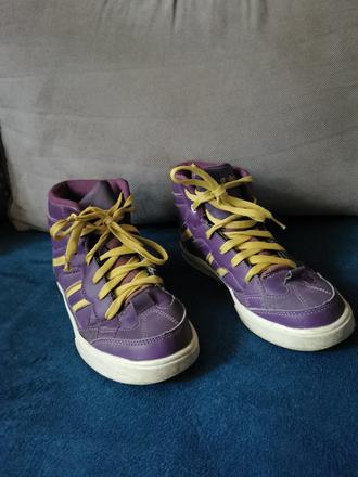 Botasky č 5, authority,36