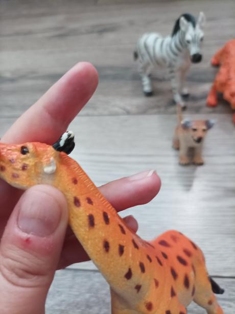 Zvieratá z dzungle, 