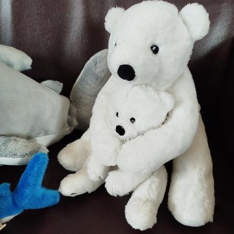 Zvieratá zo severného aj južného pólu,