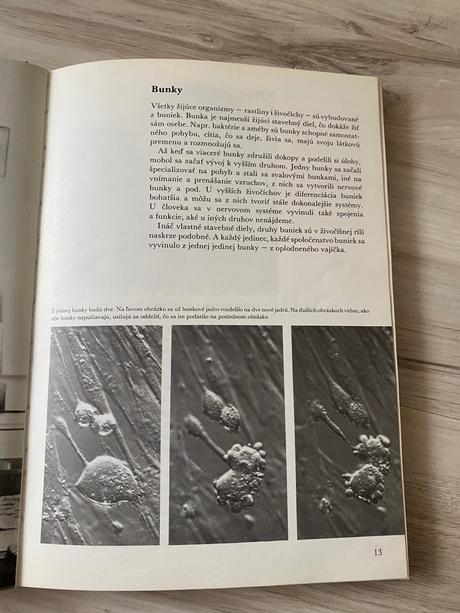 Krásna kniha čakáme dieťatko,