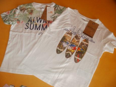 Tricenka, mayoral,104