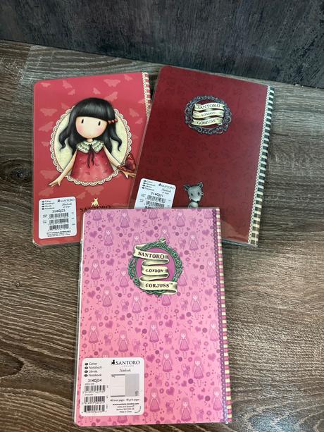 Santoro dievcenske zapisniky,zosity, 