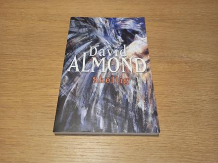 David almond - skellig,