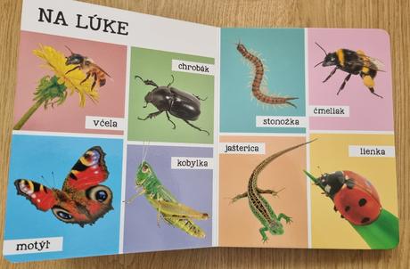 Kniha mojich prvých 100 zvierat,