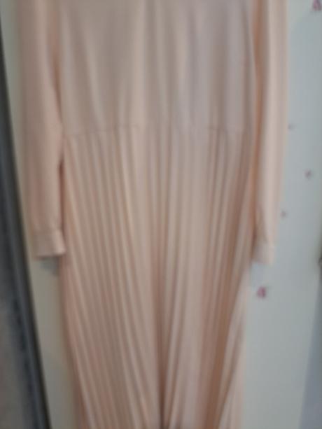 Bledoružové šaty, 48