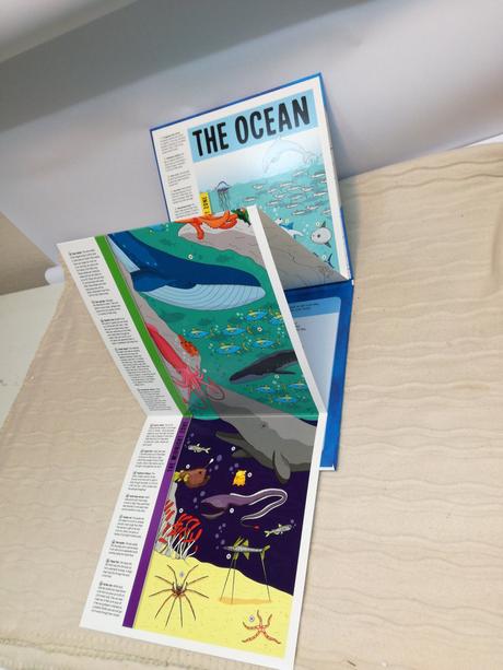 Who lives in the ocean nsu21,