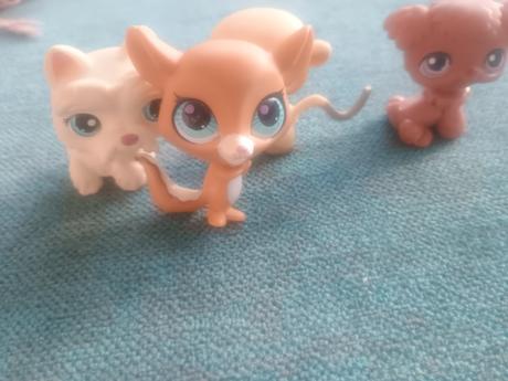 Zvieratká rôzneho druhu, 