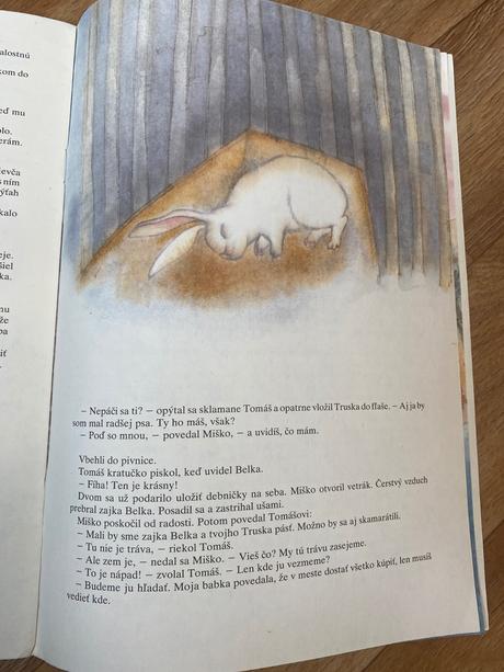 Stará retro mini knižka zajko belko a panelák,