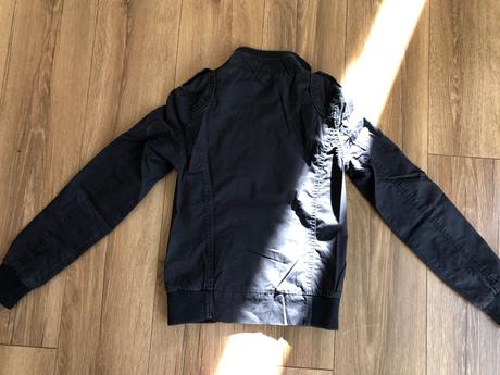 Bunda st. bernard, st. bernard,146