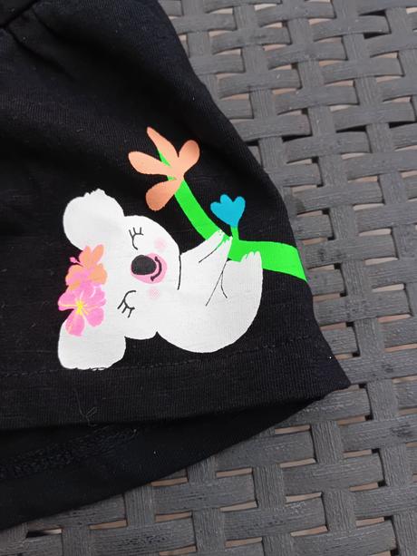 Kratasy, palomino,134