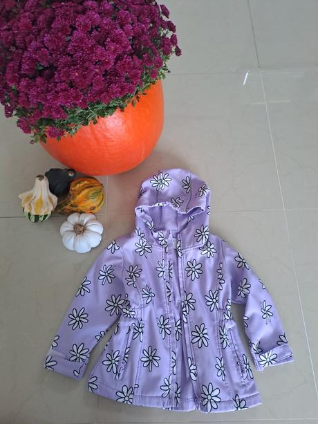 Super bunda, gate,92