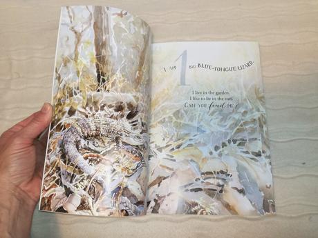 Can you find 12 busy bees nea20, 