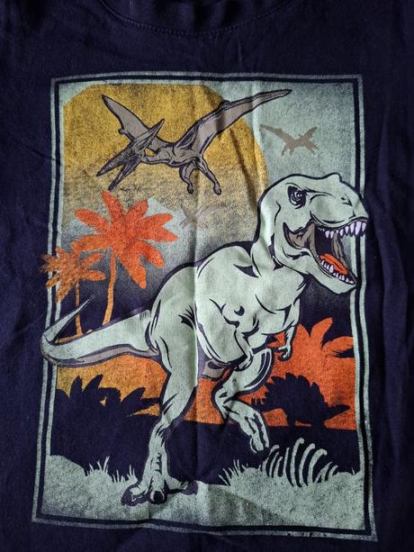 Tričko dino 110, dopodopo,110