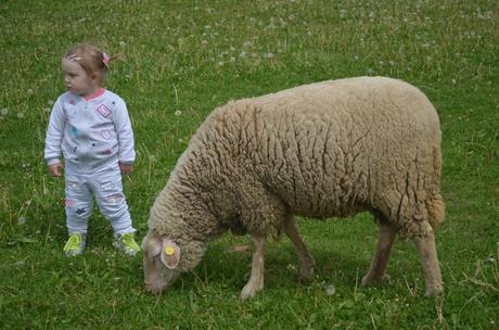 Tepláková súprava, pepco,86