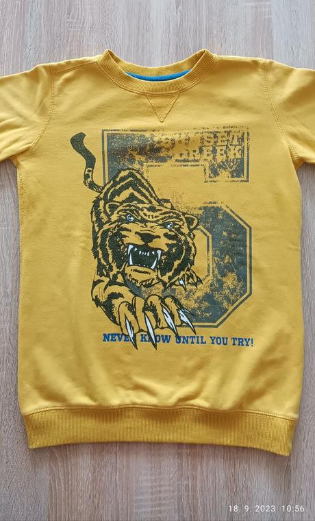 Mikina, chapter young,146