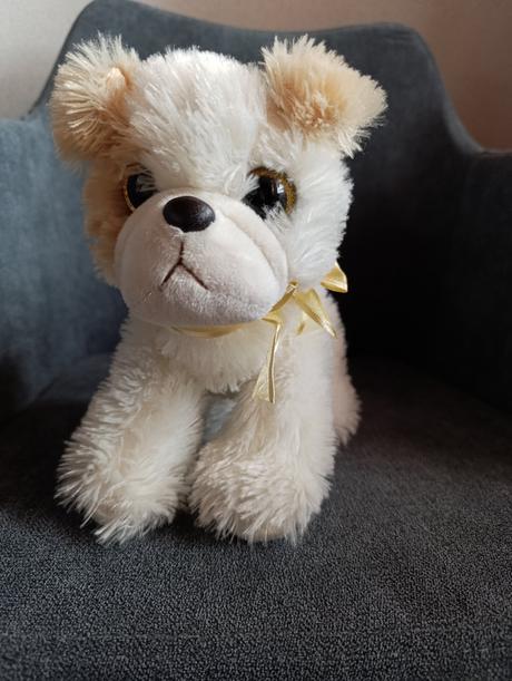 Psík plyšový brechajúci, 