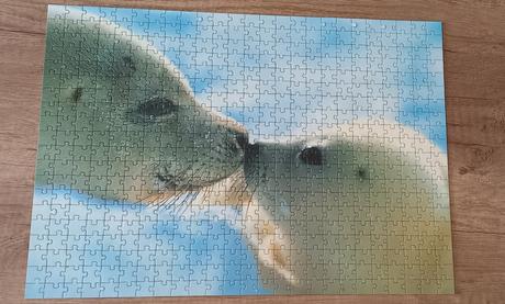 Puzzle 500 dielikové - tulene, 