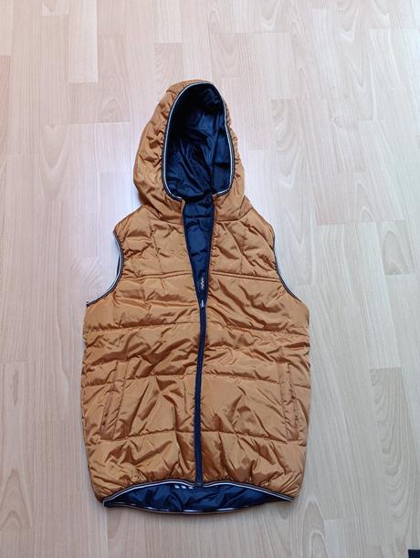 Vesta coccodrillo, coccodrillo,146