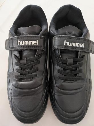 Halovky hummel, 37