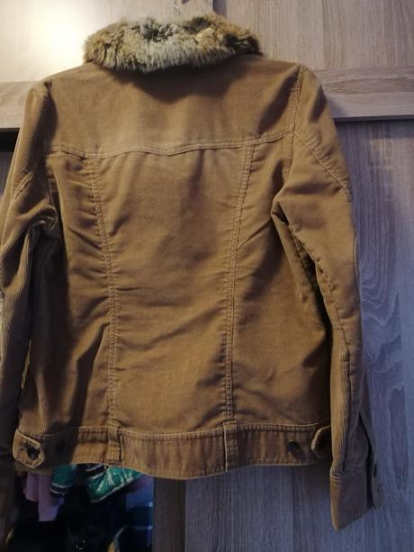 Mencestrova bundička biaggini, 38