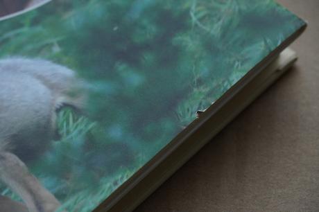 Život svorky a iné neobyčajné príbehy,