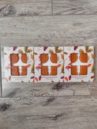 Vonné vosky do aróma lampy, 